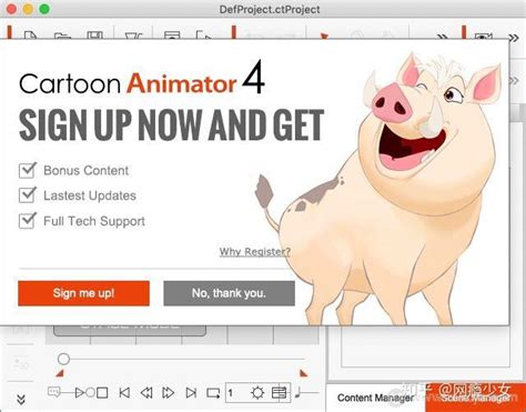  Reallusion Cartoon Animator