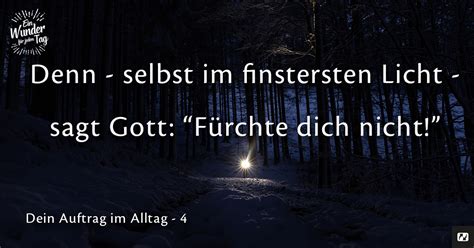 Durch die Nacht 2025